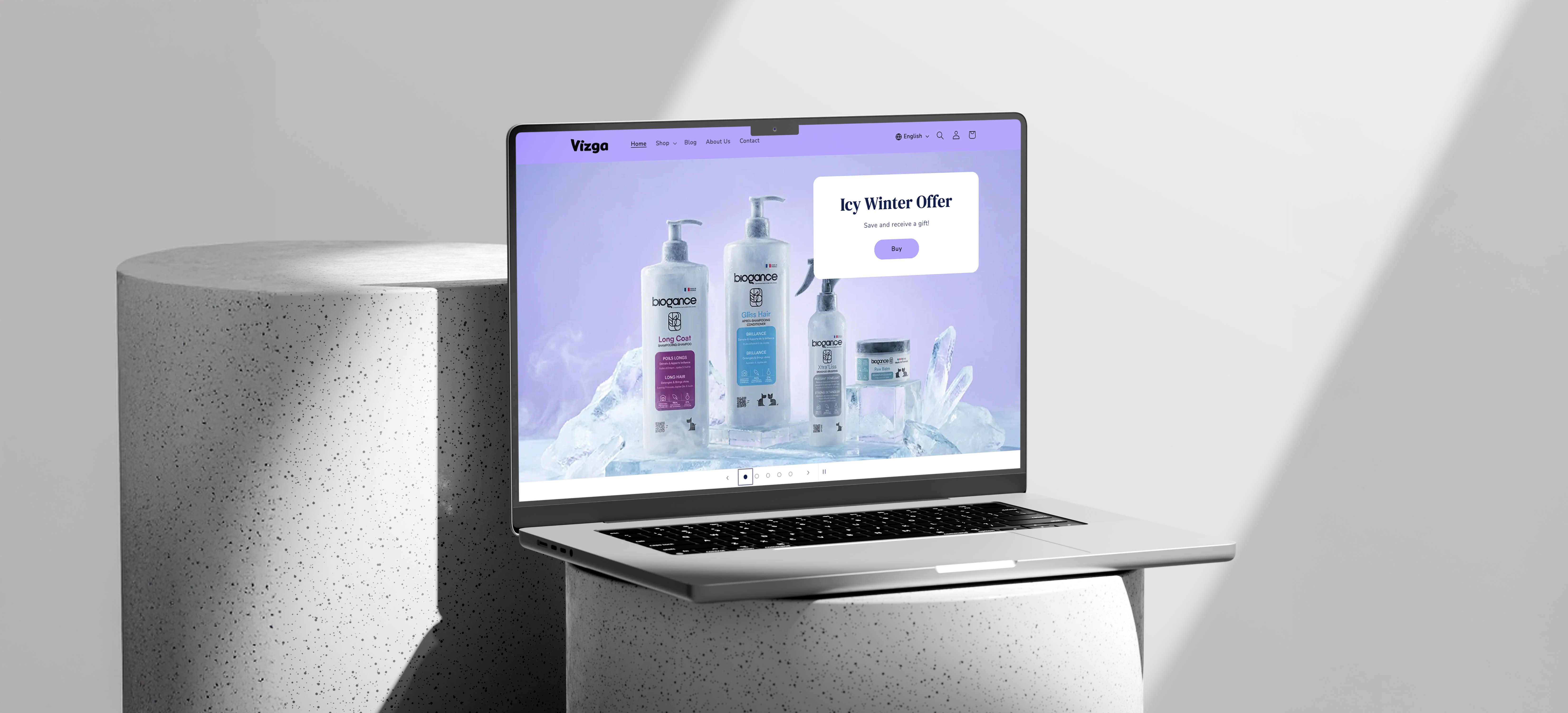 Vizga — full brand spread